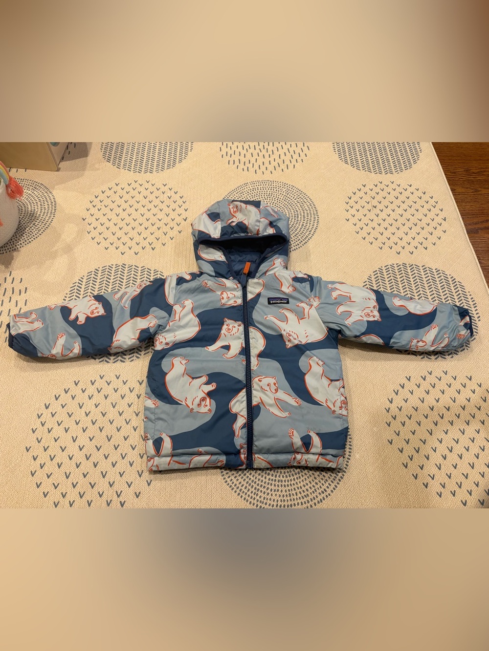 Patagonia Reversible Down Sweater Hoody Blue Polar Bear Print